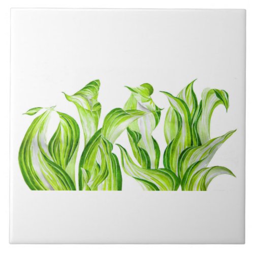 Hosta with the Mosta on a Ceramic Tile