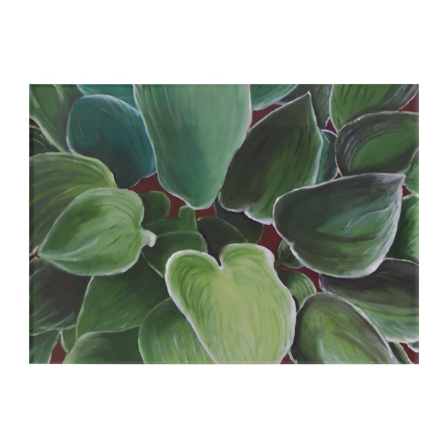 Hostas - limited acrylic print (Front)