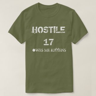 Hostile 17 Owes Me Kittens T-Shirt
