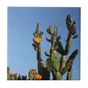 Hot Africa Desert Cactus Plant Prickly Pear Flower Ceramic Tile