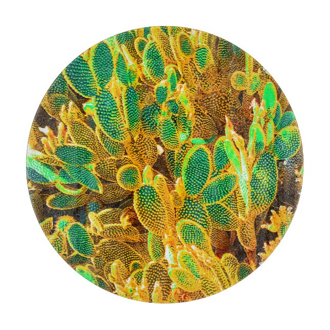 Hot Africa Desert Cactus Plants Prickly Pear Cutting Board (Front)