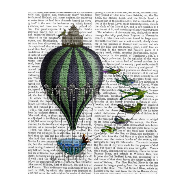 Hot Air Balloon and Birds Acrylic Print (Front)