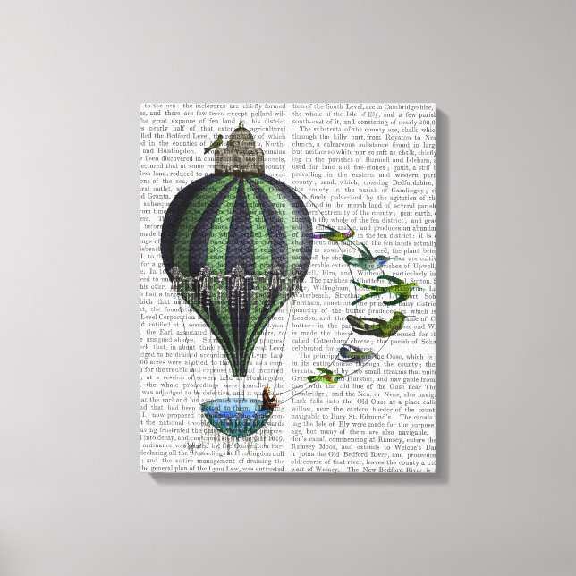 Hot Air Balloon and Birds Canvas Print (Front)