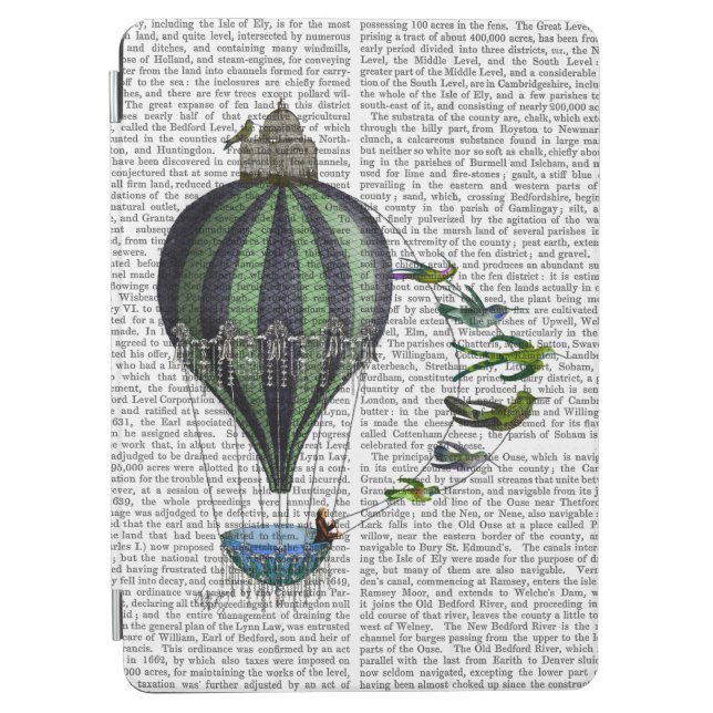 Hot Air Balloon and Birds iPad Air Cover (Front)