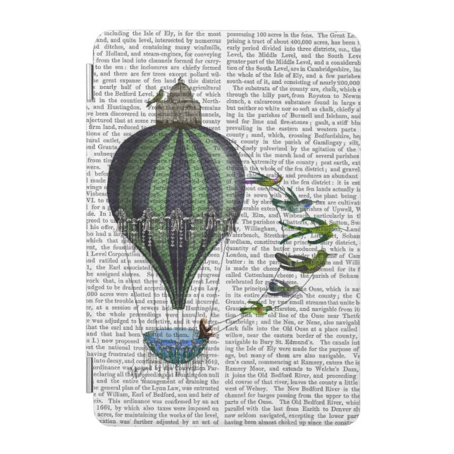 Hot Air Balloon and Birds iPad Mini Cover (Front)