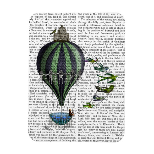 Hot Air Balloon and Birds Magnet (Vertical)