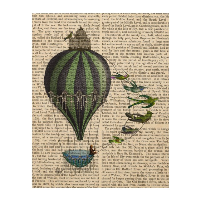 Hot Air Balloon and Birds Wood Wall Art (Front)