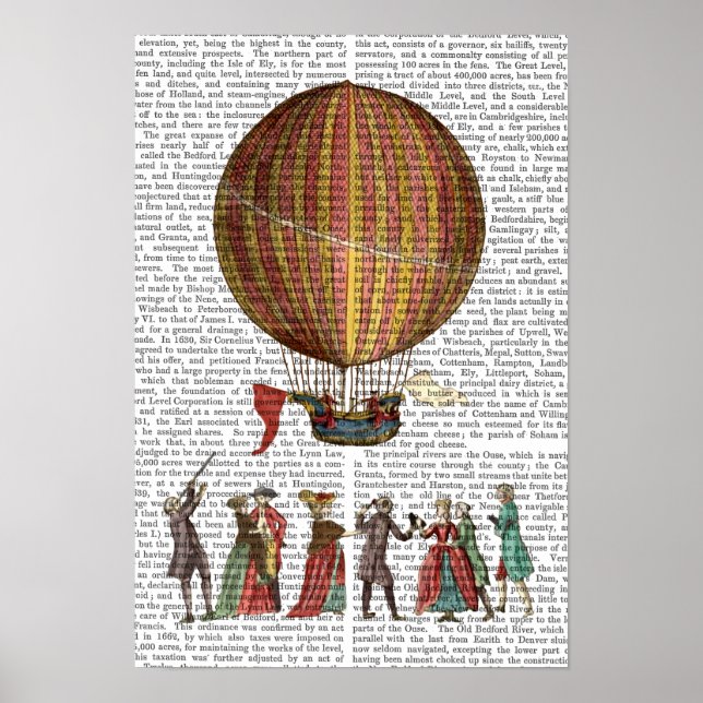 Hot Air Balloon And People Poster (Front)