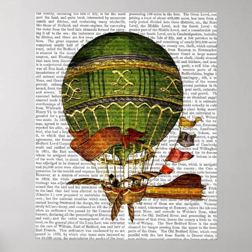 Hot Air Balloon Green Poster