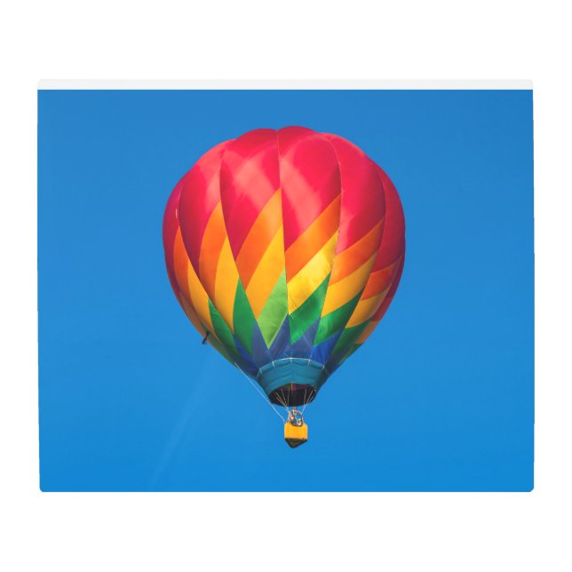 Hot Air Balloon Metal Photo Wall Art - Great Gift (Front)
