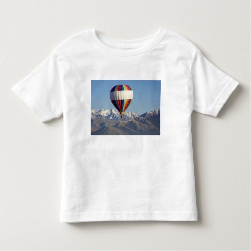 Hot_air Balloon near Methven Canterbury Toddler T_shirt