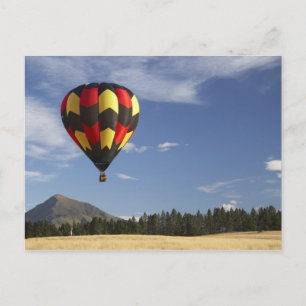 Hot Air Balloon near Wanaka, South Island, New Postcard