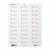 Hot Air Balloon Return Address Label | Pink (Full Sheet)