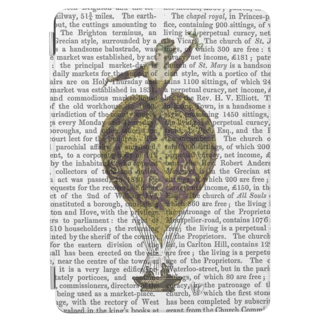 Hot Air Balloon Woman 1 iPad Air Cover (Front)