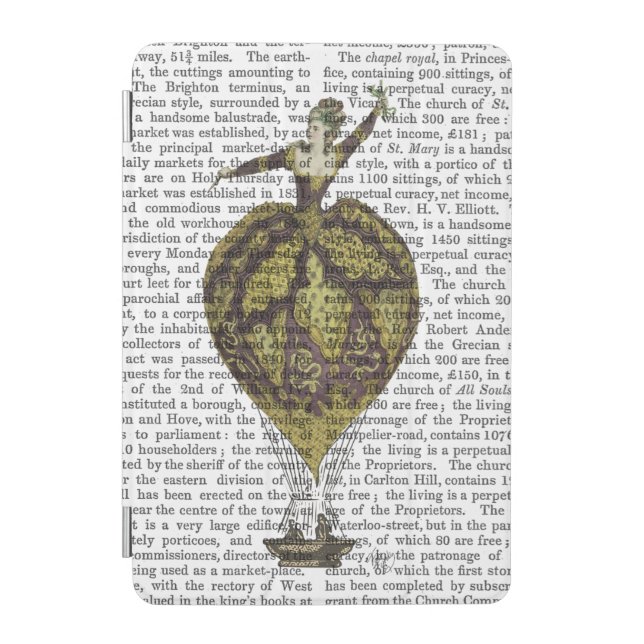 Hot Air Balloon Woman 1 iPad Mini Cover (Front)