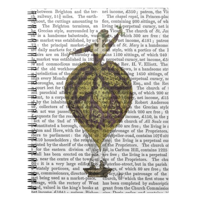 Hot Air Balloon Woman 1 Notebook (Front)