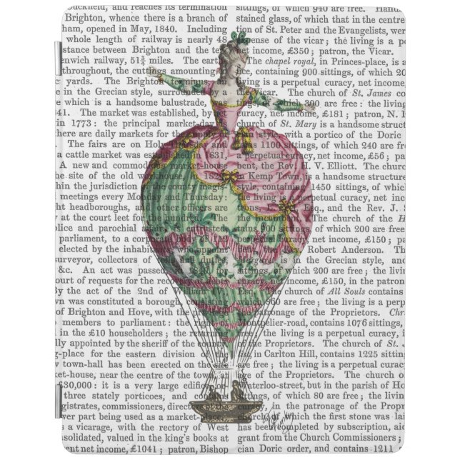 Hot Air Balloon Woman 2 iPad Air Cover (Front)