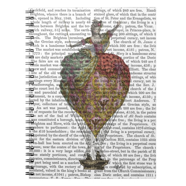 Hot Air Balloon Woman 3 Notebook (Front)