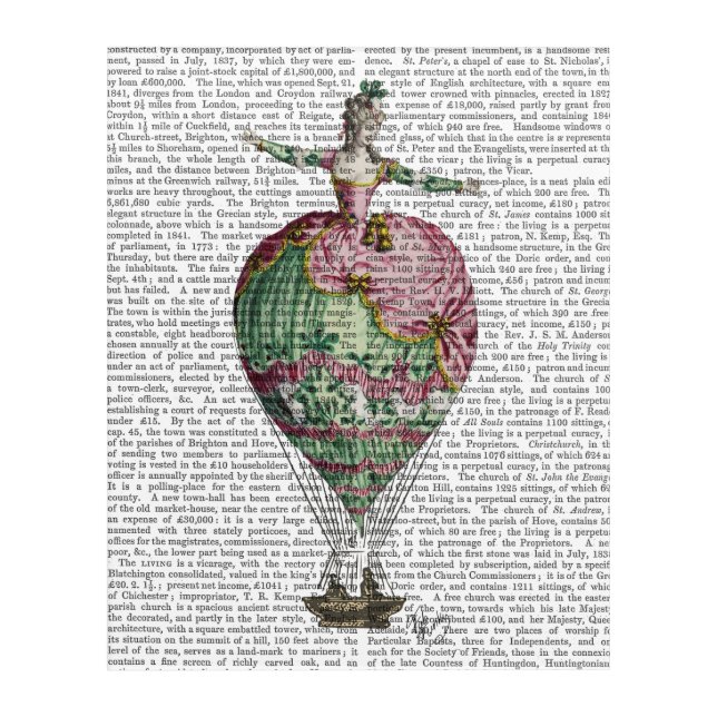 Hot Air Balloon Woman Acrylic Print (Front)