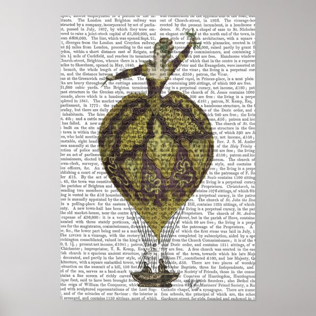 Hot Air Balloon Woman Poster (Front)