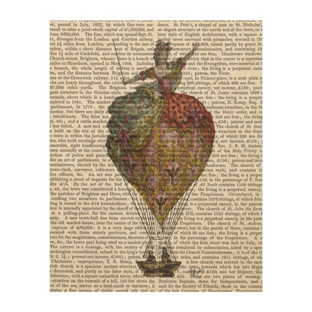 Hot Air Balloon Woman Wood Wall Art (Front)
