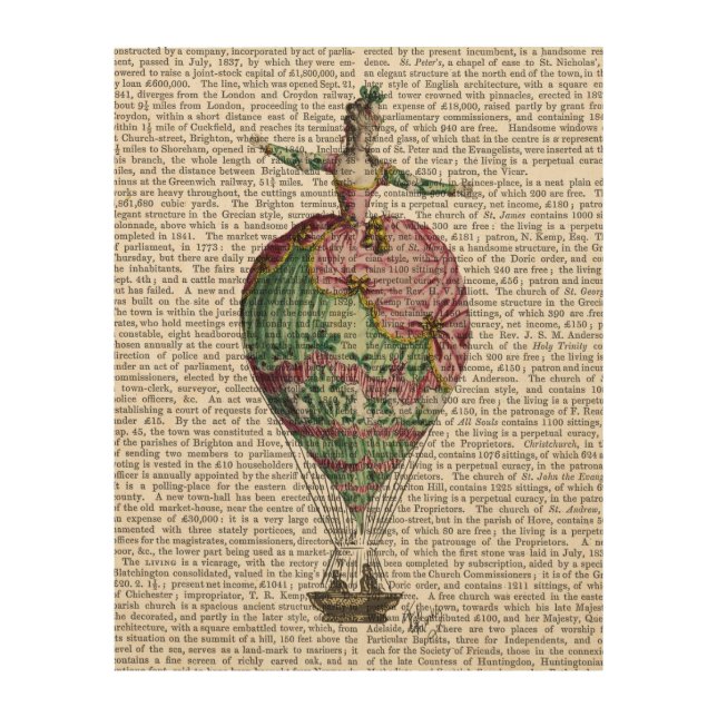 Hot Air Balloon Woman Wood Wall Art (Front)