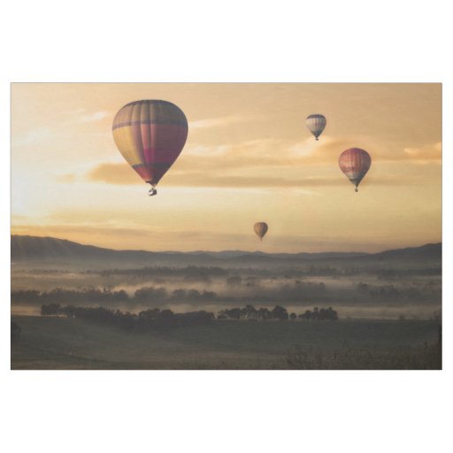 Hot air balloons fabric