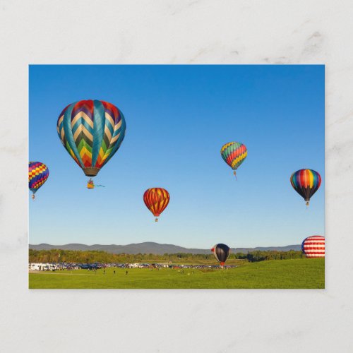 Hot Air Balloons Postcard