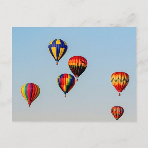 Hot Air Balloons Postcard