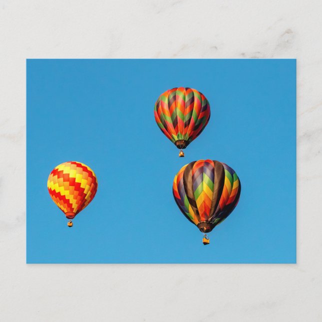 Hot Air Balloons Postcard (Front)