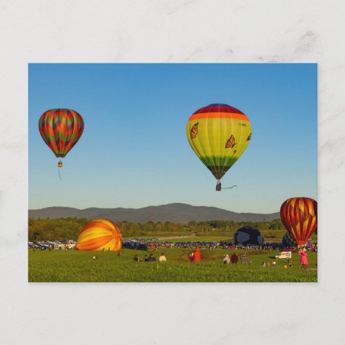 Hot Air Balloons Postcard