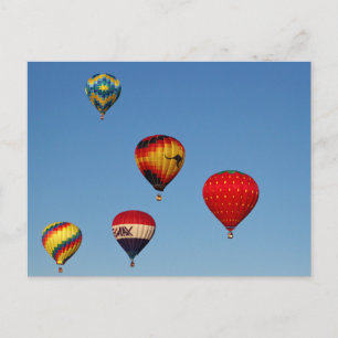 Hot Air Balloons Postcard