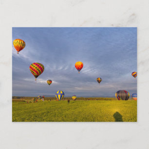 Hot Air Balloons Postcard