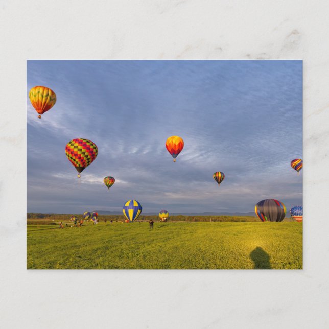 Hot Air Balloons Postcard (Front)