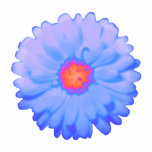 Hot and Cold Marigold Photo Sculpture<br><div class="desc">This photo sculpture features a photograph of a marigold flower that has been manipulated to create a beautiful contrast between the hot red centre and the cold blue outer petals of the flower.</div>