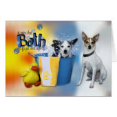 Hot Bath - Rat Terrier (Front Horizontal)