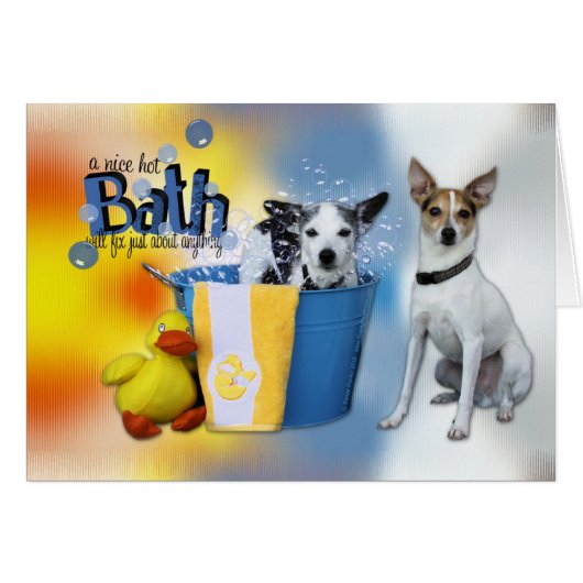 Hot Bath - Rat Terrier Cards (Front Horizontal)