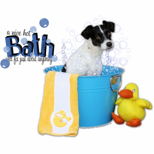 Hot Bath - Rat Terrier - Rosco Statuette (Front)