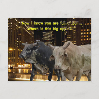 Hot Bulls In The City Postcard