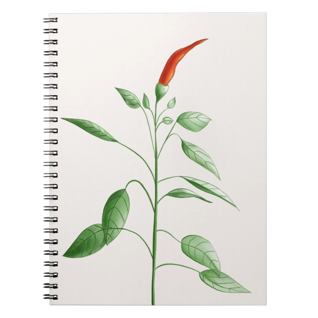 Hot Chili Pepper Plant Botanical Illustration Notebook (Front)