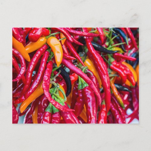 Hot Chili Peppers At Farmers Market In Madison Postcard