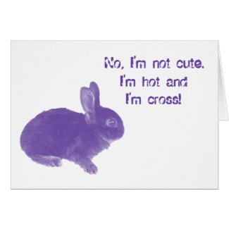 Hot Cross Bunny for Easter Card