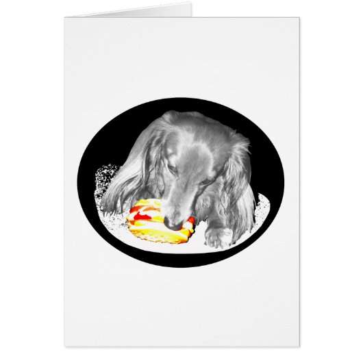 Hot Dog Attacks Cheeseburger, News At Eleven. Cards (Front)