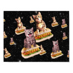 hot dog cat invasion poster hot dog cat invasion poster