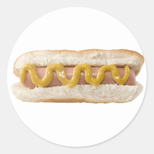 hot dog classic round sticker