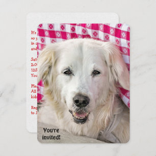 Hot Dog Fry invitation