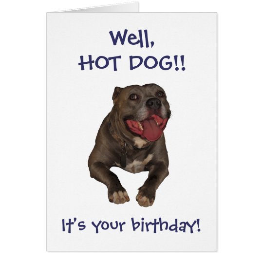 Hot Dog Pitbull Birthday Card | Zazzle.com