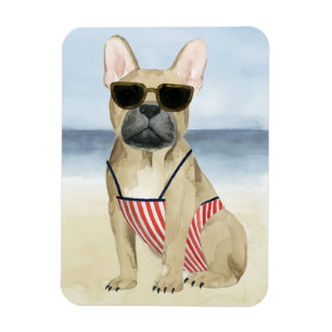 Hot Dog Puppy In Sunglasses At The Beach Magnet