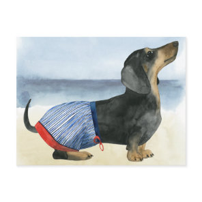 Hot Dog | Puppy In Swimming Trunks Postcard