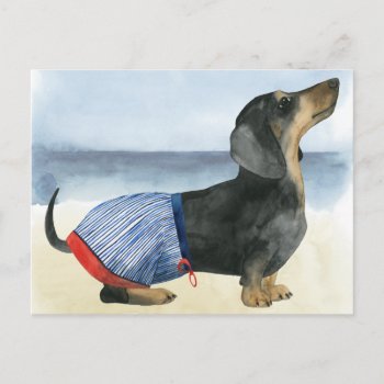 Hot Dog | Puppy In Swimming Trunks Postcard by worldartgroup at Zazzle